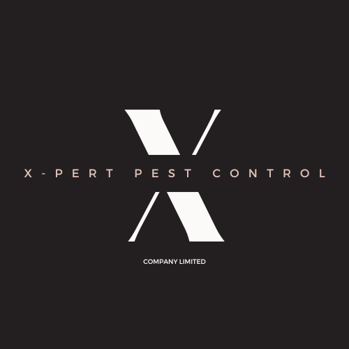 X-pert Pest Control